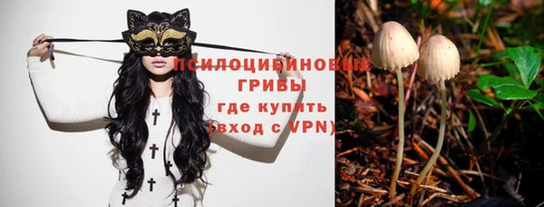 трава Абинск
