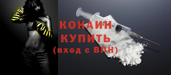 индика Семилуки