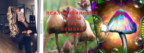 индика Семилуки