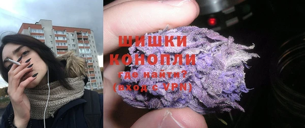 прущие грибы Абдулино