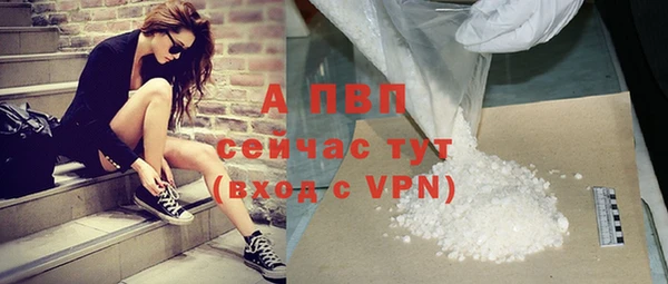 прущие грибы Абдулино